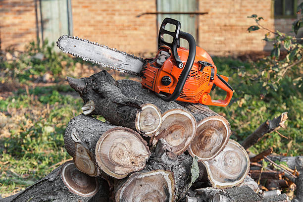 Residential Tree Removal in St Charles, MO